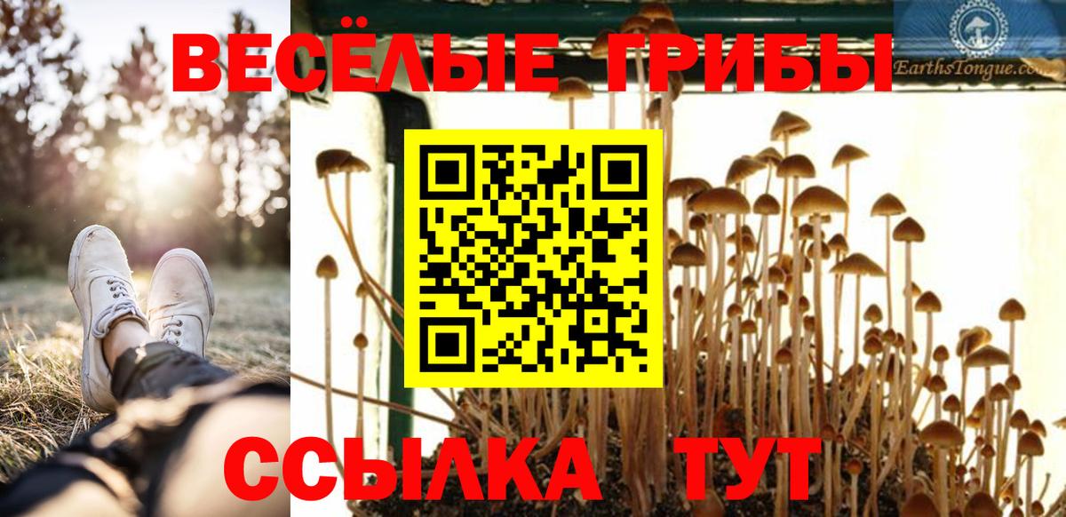 Псилоцибиновые грибы Cubensis  Галлюциногенные грибы прущие грибы  Ефремов  Вход с VPN 