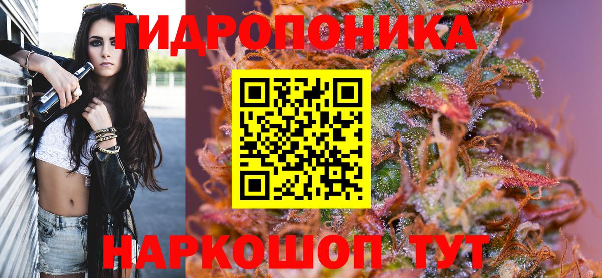 Бошки марихуана план  Вход с VPN  Марихуана White Widow  Ефремов 
